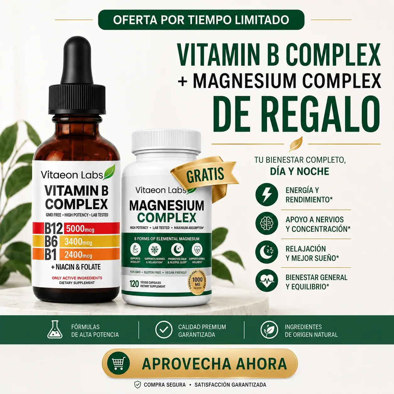 5 en 1 - Complejo de Vitamina B + Magnesio (de REGALO)